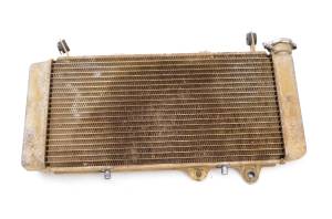 Honda - 08 Honda TRX700XX 2x4 Radiator - Image 1