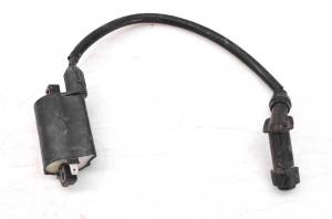 Can-Am - 05 Can-Am Rally 175 200 2x4 Ignition Coil - Image 1