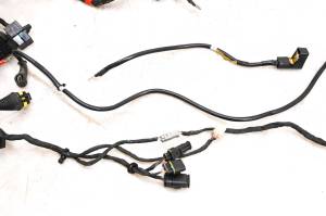 Ducati - 14 Ducati Monster 796 ABS Wire Harness Electrical Wiring - Image 3