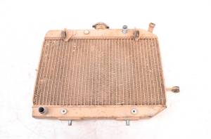 Honda - 05 Honda Rincon 650 4x4 Radiator TRX650FA - Image 1