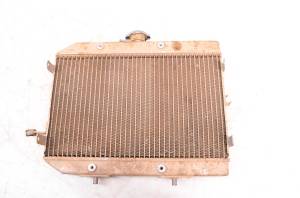 Honda - 05 Honda Rincon 650 4x4 Radiator TRX650FA - Image 2