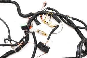 Polaris - 04 Polaris Sportsman 500 6x6 Wire Harness Electrical Wiring - Image 3