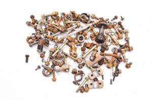 Arctic Cat - 98 Arctic Cat 454 2x4 Hardware Set Nuts & Bolts - Image 1