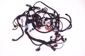 Ski-Doo - 18 Ski-Doo Renegade Enduro 600 HO Wire Harness Electrical Wiring 137" - Image 1