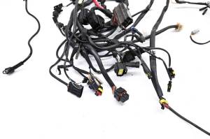 Ducati - 04 Ducati Monster 800S Wire Harness Electrical Wiring - Image 2