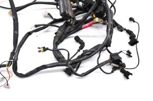 Ducati - 04 Ducati Monster 800S Wire Harness Electrical Wiring - Image 3