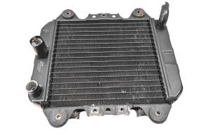 Kawasaki - 03 Kawasaki Ninja 250R Radiator EX250 - Image 1