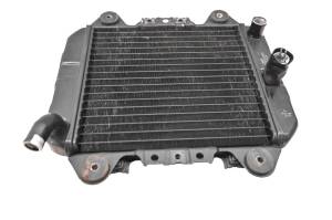 Kawasaki - 03 Kawasaki Ninja 250R Radiator EX250 - Image 2