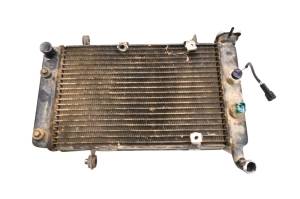 Kawasaki - 03 Kawasaki KFX400 Radiator LTZ400 - Image 1