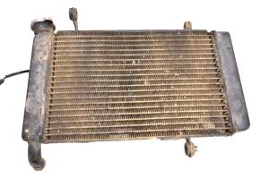 Kawasaki - 03 Kawasaki KFX400 Radiator LTZ400 - Image 4