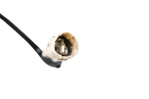 Suzuki - 01 Suzuki King Quad 300 4x4 Reverse Sensor LTF300F - Image 4