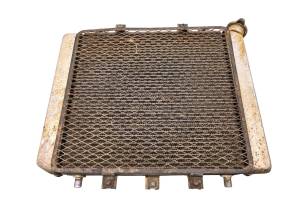 Kawasaki - 08 Kawasaki Brute Force 750 4x4i Radiator KVF750 - Image 2