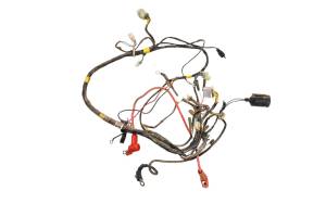 Polaris - 15 Polaris Phoenix 200 2x4 Wire Harness Electrical Wiring - Image 1