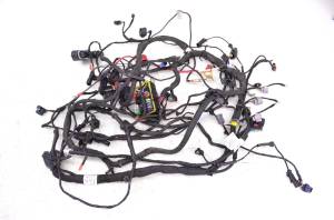 Can-Am - 20 Can-Am Ryker Rally 900 ACE Wire Harness Electrical Wiring - Image 1