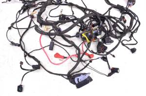 Can-Am - 20 Can-Am Ryker Rally 900 ACE Wire Harness Electrical Wiring - Image 3