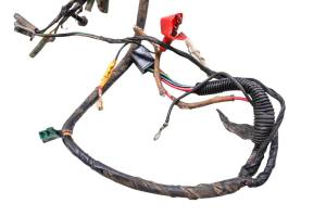 Polaris - 04 Polaris Sportsman 90 2x4 Wire Harness Electrical Wiring - Image 2