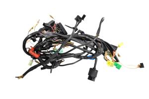 Suzuki - 05 Suzuki GS500F Wire Harness Electrical Wiring - Image 1