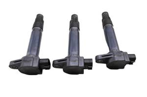 Can-Am - 22 Can-Am Ryker 900 ACE Ignition Coils - Image 1