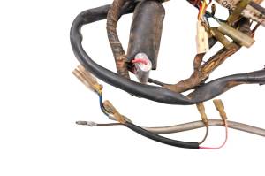 Yamaha - 75 Yamaha RD125 Wire Harness Electrical Wiring - Image 4