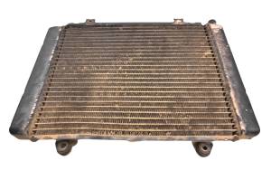 Kawasaki - 02 Kawasaki Prairie 650 4x4 Radiator KVF650 - Image 2