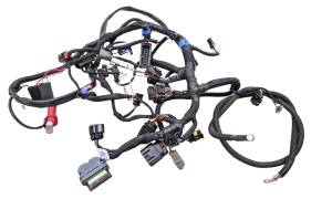 14 Ski-Doo Renegade Back Country 800R E-Tec Wire Harness Electrical Wiring 137"