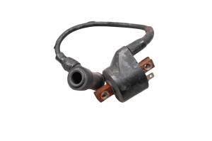 Polaris - 87 Polaris Cyclone 250X 2x4 Ignition Coil - Image 1