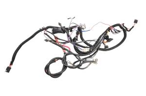 Polaris - 00 Polaris Trail Blazer 250 2x4 Wire Harness Electrical Wiring - Image 1