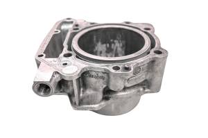 Can-Am - 08 Can-Am DS450 EFI 2x4 Cylinder For Parts - Image 1