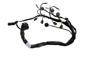 Can-Am - 21 Can-Am Ryker Rally 900 Ace Engine Wire Harness Electrical Wiring - Image 1