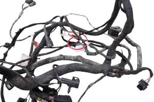 Can-Am - 21 Can-Am Ryker Rally 900 Ace Wire Harness Electrical Wiring - Image 3