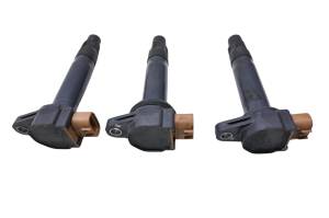 Can-Am - 21 Can-Am Ryker 900 Ace Ignition Coils - Image 1