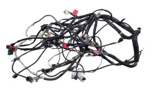 Kawasaki - 19 Kawasaki Teryx 800 Wire Harness Electrical Wiring KRF800F - Image 1