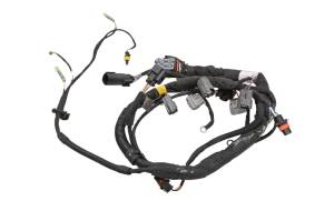 Can-Am - 21 Can-Am Ryker Rally 900 Engine Electrical Wiring Harness - Image 1