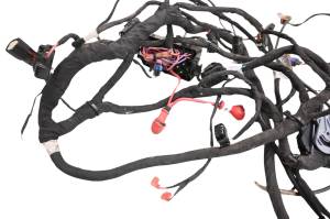 Can-Am - 21 Can-Am Ryker Rally 900 Wire Harness Electrical Wiring - Image 3