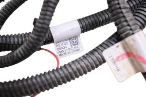 Polaris - 13 Polaris RZR 900 XP Wire Harness Electrical Wiring - Image 4