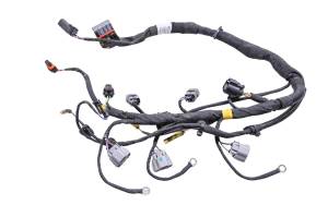 Can-Am - 19 Can-Am Ryker Rally 900 Ace Engine Wire Harness - Image 1