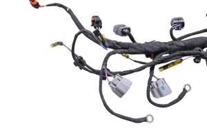 Can-Am - 19 Can-Am Ryker Rally 900 Ace Engine Wire Harness - Image 2