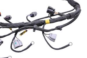 Can-Am - 19 Can-Am Ryker Rally 900 Ace Engine Wire Harness - Image 3