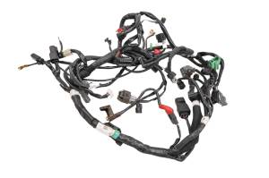 Kawasaki - 22 Kawasaki KLX300SM Wire Harness Electrical Wiring - Image 1