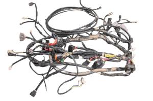 Yamaha - 16 Yamaha Wolverine 700 Wire Harness Electrical Wiring YXE700 - Image 1