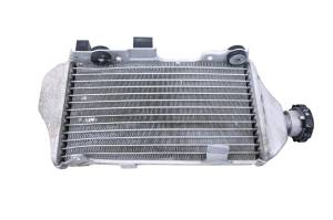 Honda - 14 Honda CRF250L Radiator - Image 1