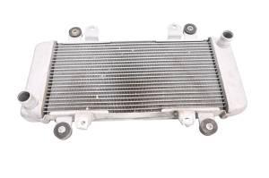 Kawasaki - 17 Kawasaki Ninja 300 Radiator EX300 - Image 1