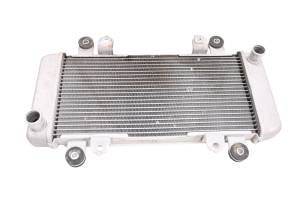 Kawasaki - 17 Kawasaki Ninja 300 Radiator EX300 - Image 2