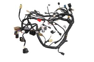 Kawasaki - 17 Kawasaki Ninja 300 Wire Harness Electrical Wiring EX300 - Image 1