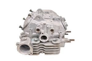 Cub Cadet - 16 Cub Cadet Challenger 700 Cylinder Head - Image 3