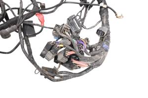 16 Triumph Tiger 800 XCx Wire Harness Electrical Wiring - Image 2