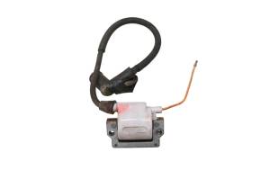 Arctic Cat - 01 Arctic Cat 250 2x4 Ignition Coil - Image 3