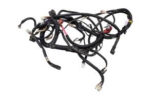 Bombardier - 06 Can-Am Rally 175 Wire Harness Electrical Wiring Bombardier - Image 1