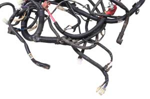 Bombardier - 06 Can-Am Rally 175 Wire Harness Electrical Wiring Bombardier - Image 3