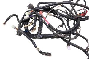 Bombardier - 06 Can-Am Rally 175 Wire Harness Electrical Wiring Bombardier - Image 4